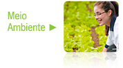 ambiente