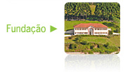 fundacao