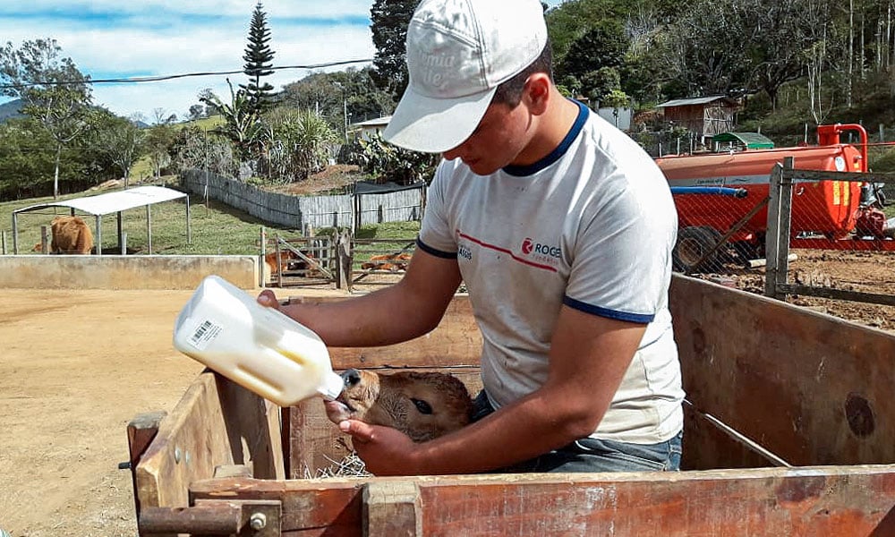 Técnico em agropecuária: que profissão é essa?