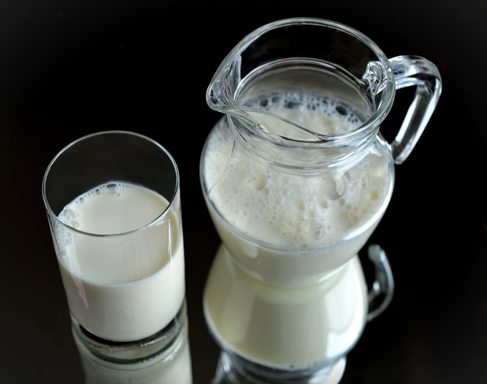 10 passos para garantir a qualidade do leite