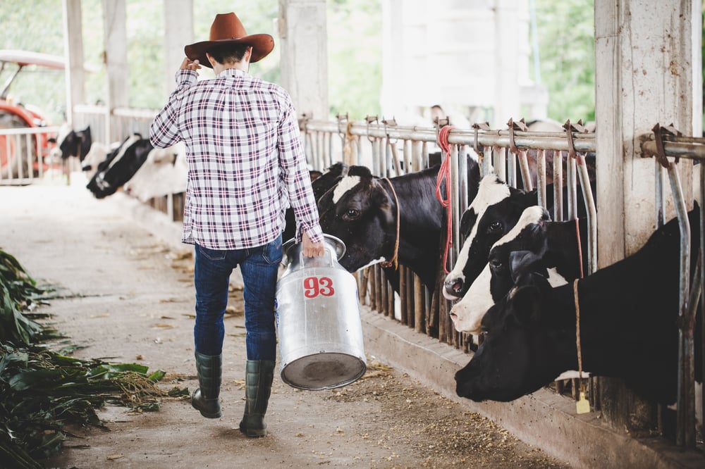 3 Ferramentas administrativas para o sucesso da fazenda de leite