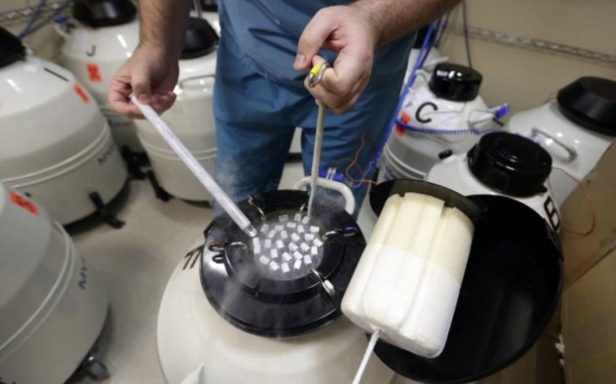 Inseminação Artificial em Tempo Fixo no rebanho leiteiro