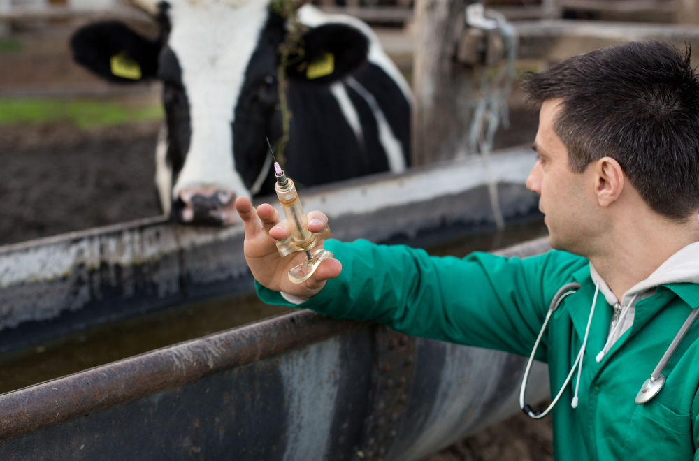 4 dicas para a eficiência do manejo sanitário na fazenda de leite