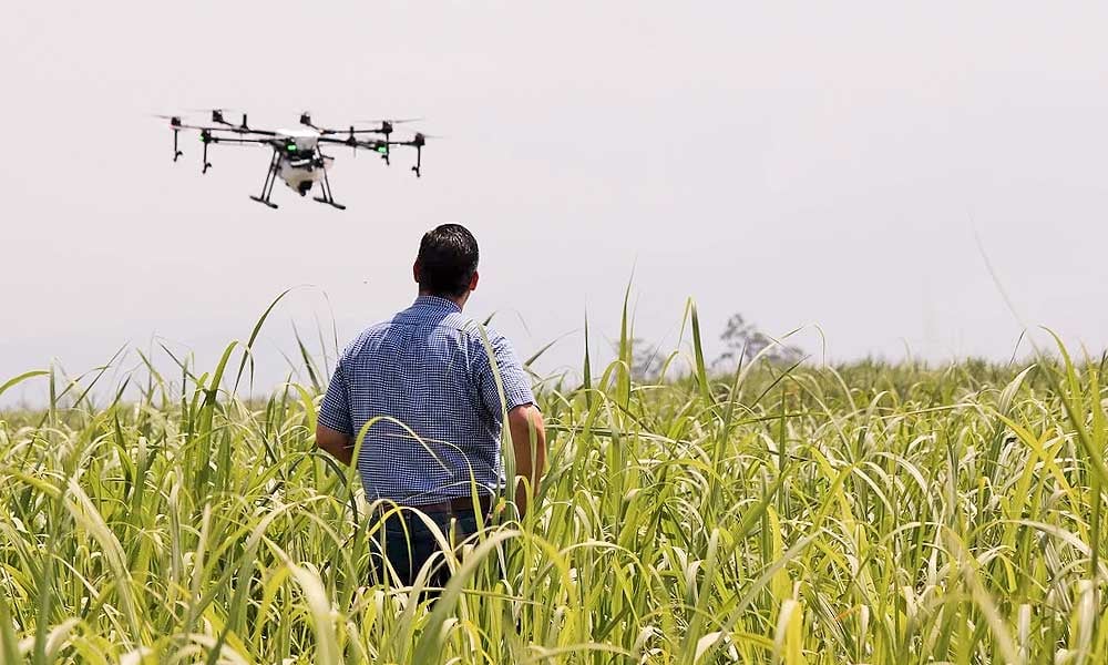 4 utilidades do uso de drones na agricultura