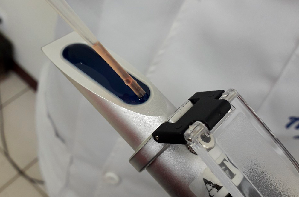 Absorção de imunoglobulinas em colostro de primíparas e de multíparas