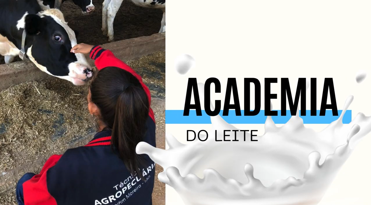 Academia do Leite