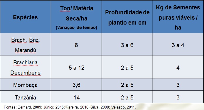 Caracteristicas