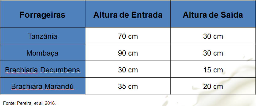 Ciclo de entrada e saída