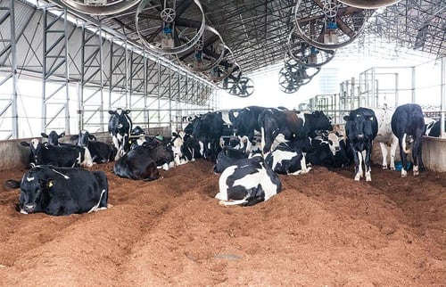 Compost barn