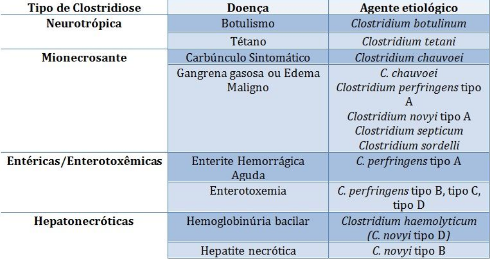 Clostridioses bacterias