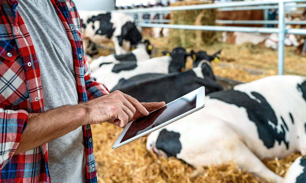 Cursos online de agropecuária: 6 vantagens para produtores rurais