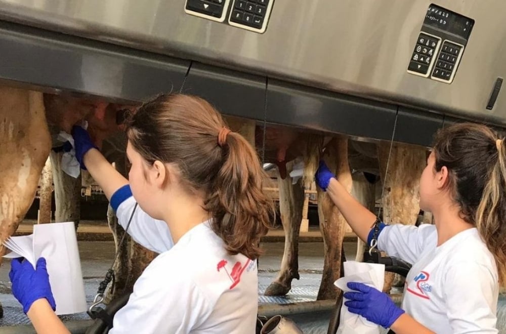 Como acontece o estágio na Academia do Leite