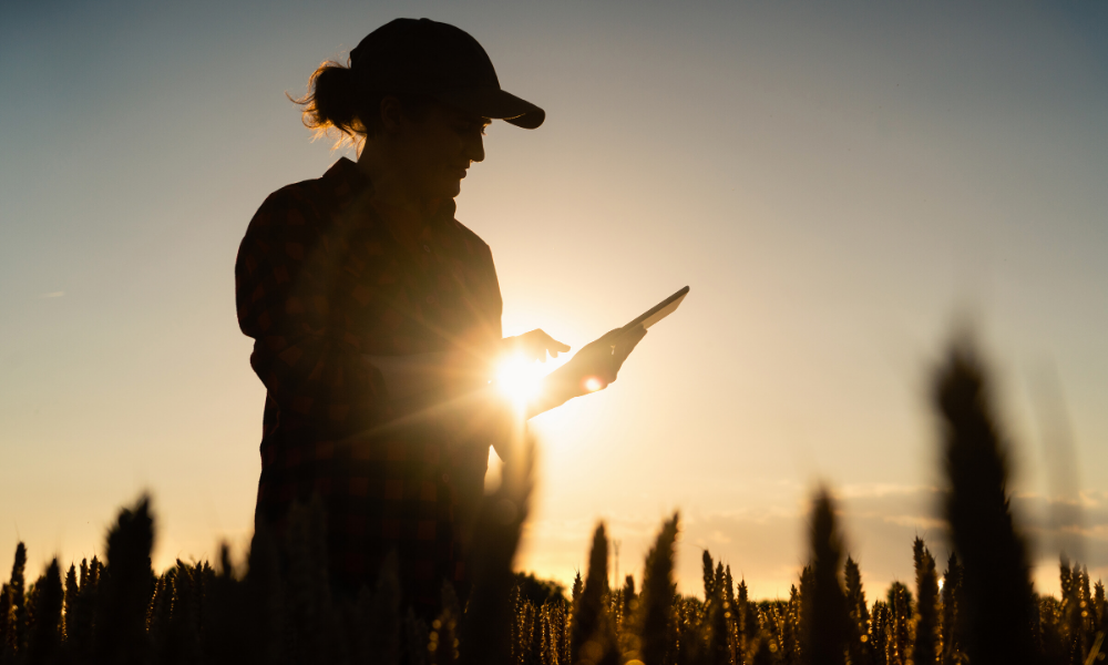 Como comprar produtos agropecuários na internet com segurança