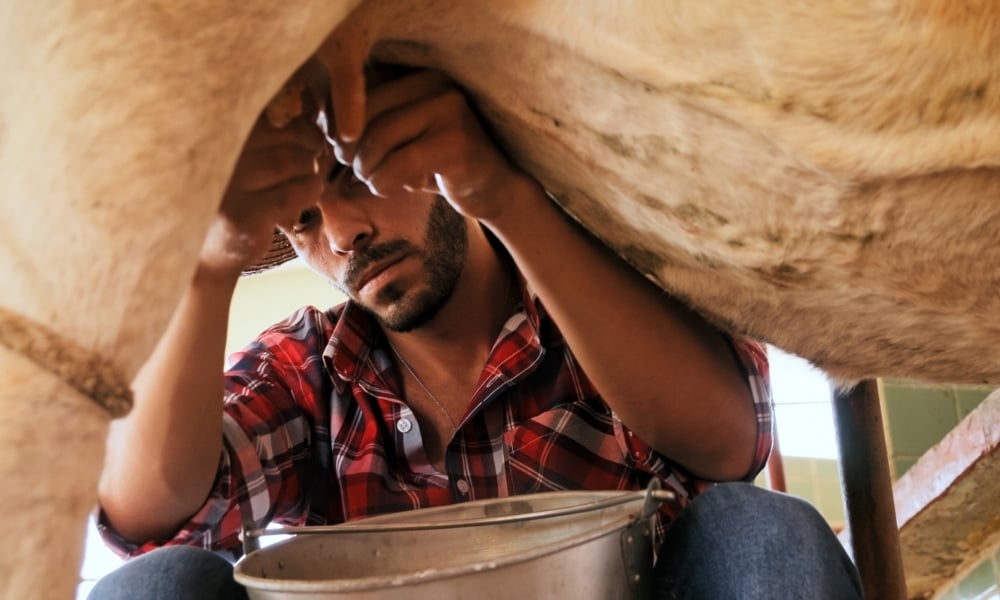 Como descobrir se tenho talento para seguir carreira na agropecuária