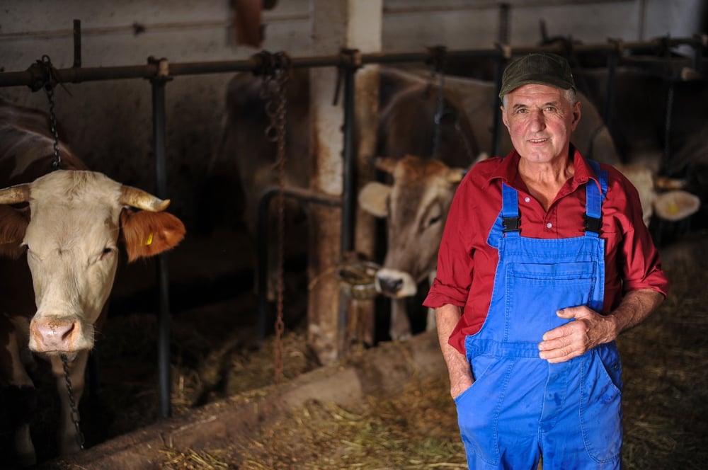 Como reduzir desperdícios de habilidades humanas em fazendas de leite