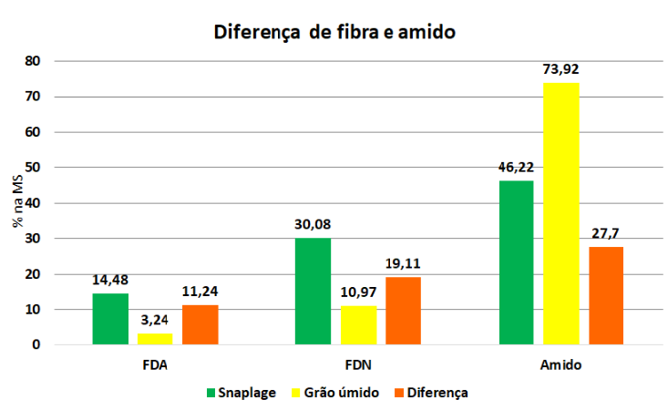 Diferença de fibra e amido