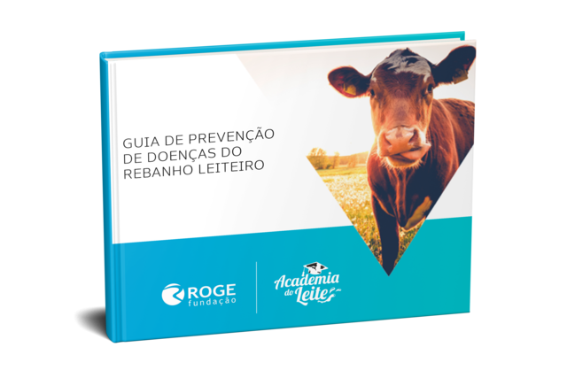 Ebook