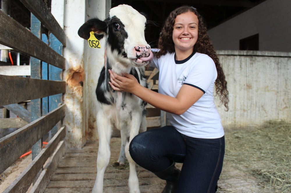 Fundação Roge Curso Técnico em Agropecuária focado na bovinocultura