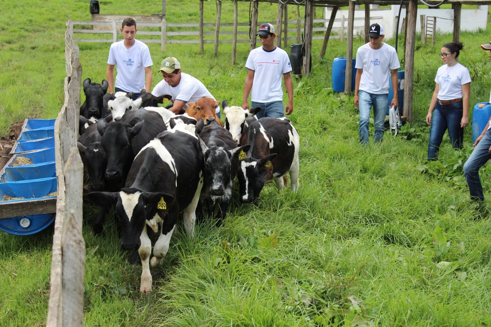 escola assume compromisso com o leite