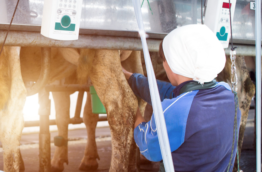 Gestão de pessoas na fazenda: como conectar os empregados ao negócio?