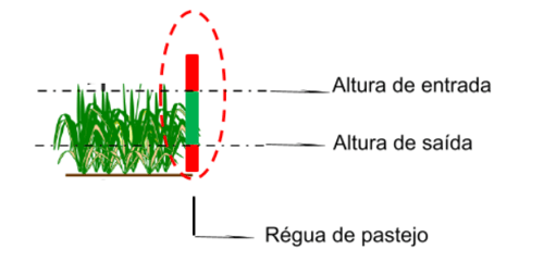 Manejo de altura de pastejo