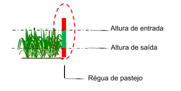 altura de entrada