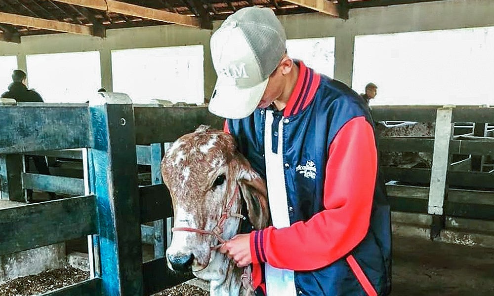 Aluno da FUNDAÇÃO ROGE segurando uma vaca na fazenda, onde está fazendo seu estágio