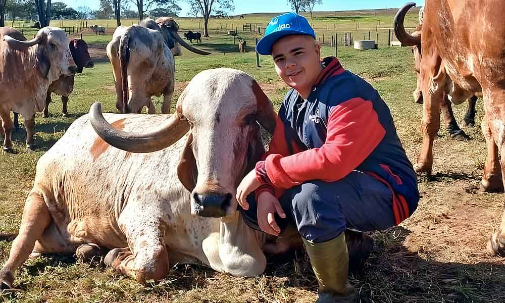 Curso técnico em agropecuária presencial