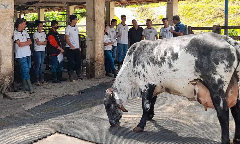 Como a FUNDAÇÃO ROGE prepara profissionais para o mercado leiteiro