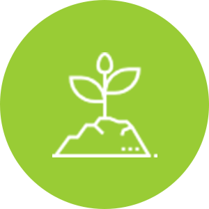 ambiental_02