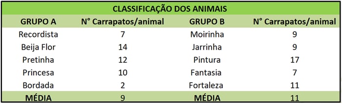 classificaçao dos animais