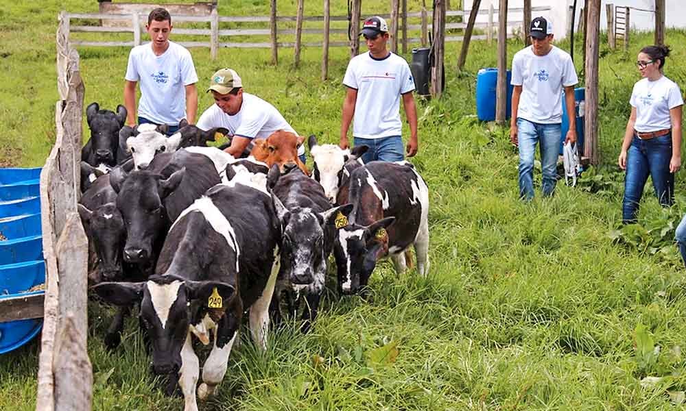 Compromisso com a qualidade do leite