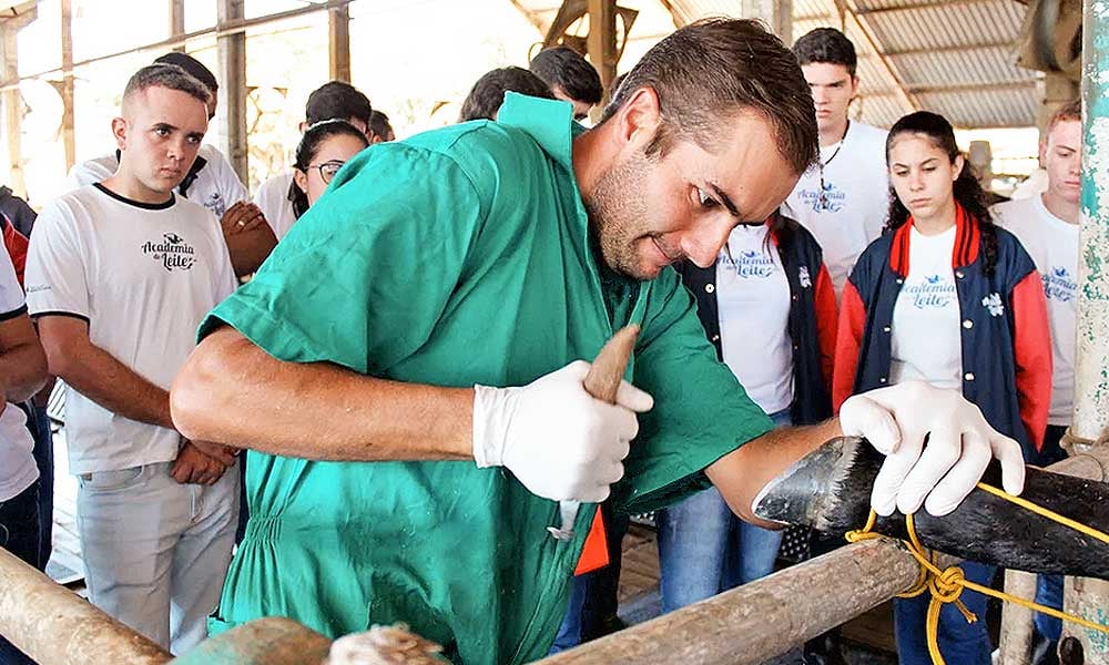 Doenças de casco em bovinos de leite