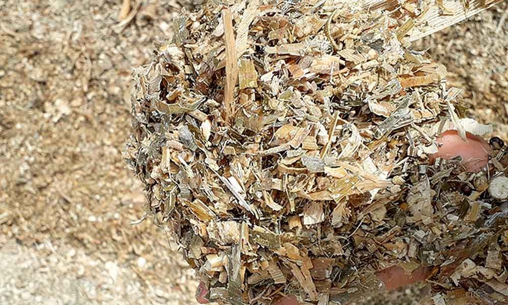 Monitoramento da ensilagem de milho no controle fecal