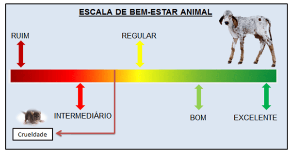 escala