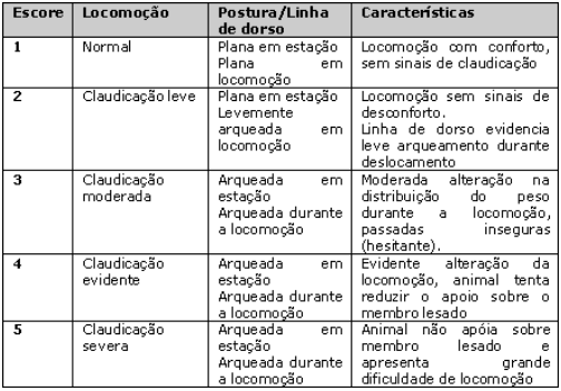 foto blog