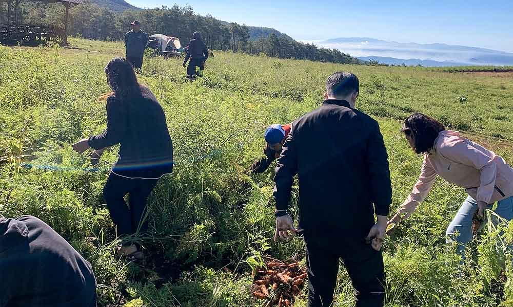 Gestão de pessoas na fazenda para maior produtividade de funcionários