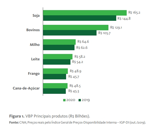 gráfico-1