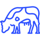 icon-2-1