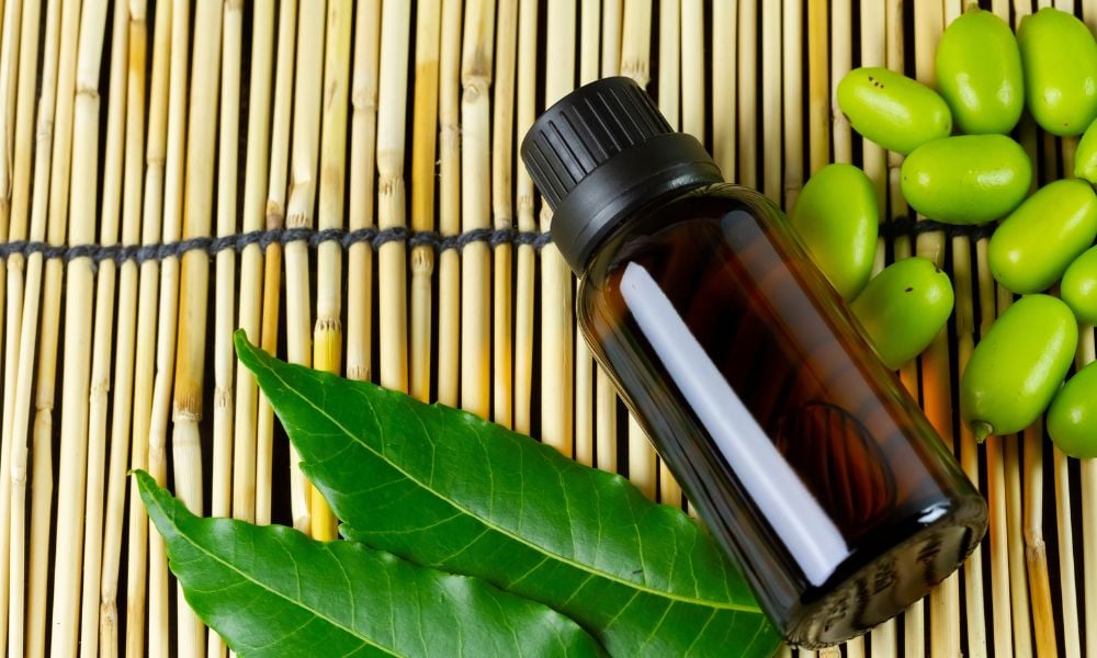 3 Alternativas biodegradáveis no controle de carrapatos e moscas