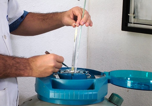Como o melhoramento genético pode beneficiar o produtor de leite?