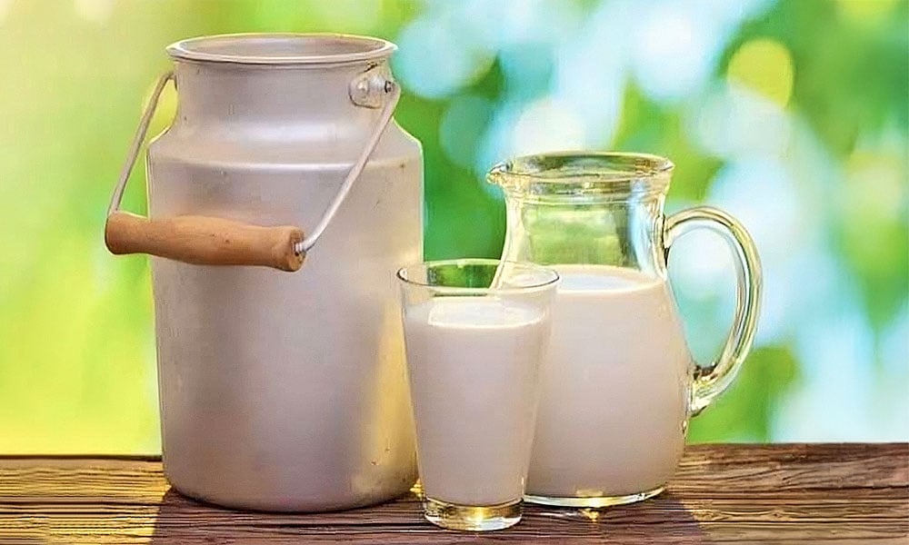 Produção de leite orgânico: mercado crescente no Brasil