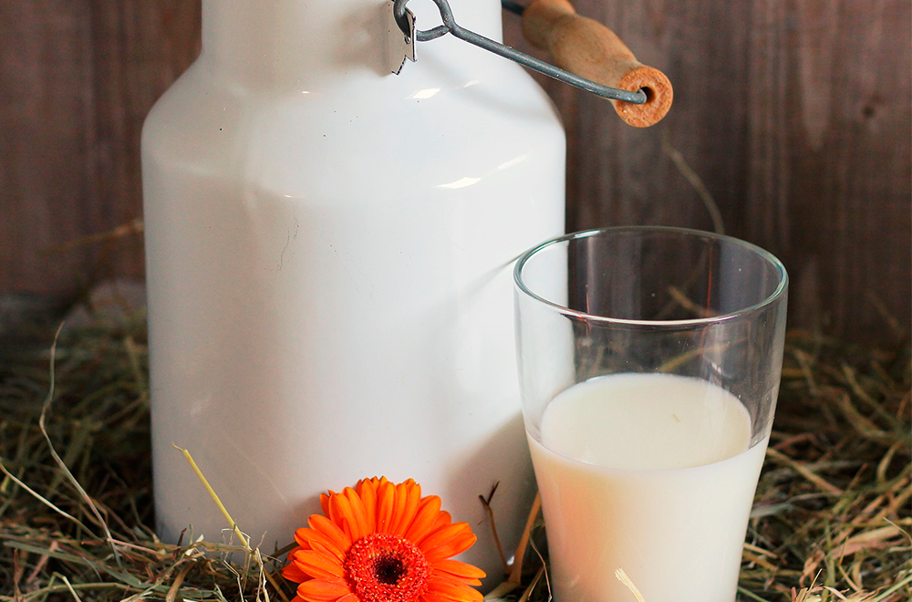 5 critérios para a produção de leite orgânico