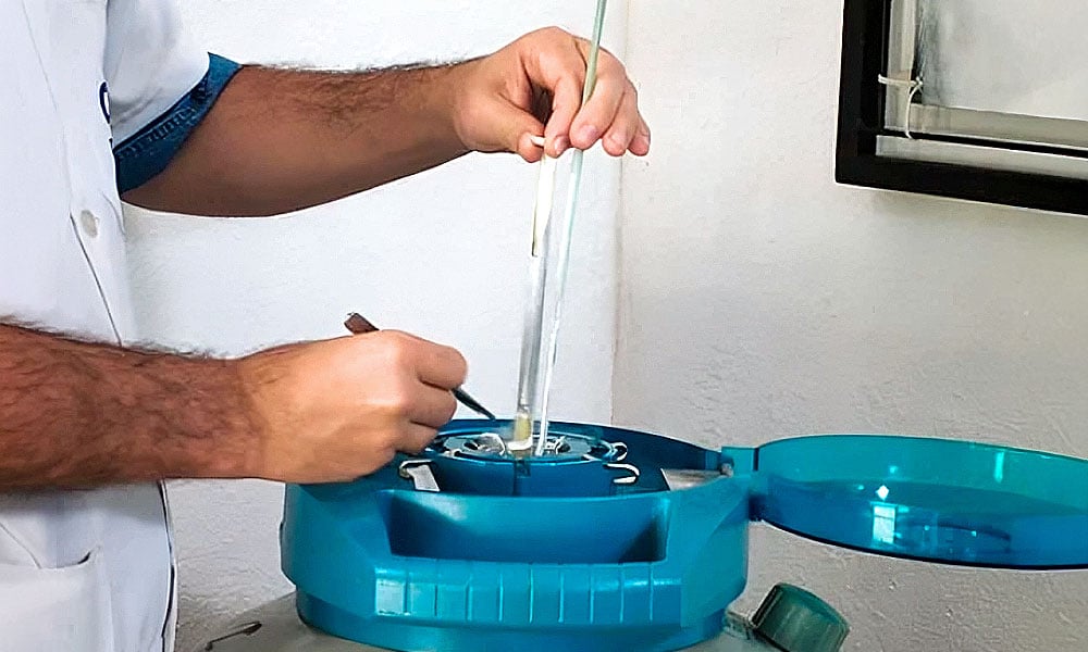 Melhoramento genético bovino