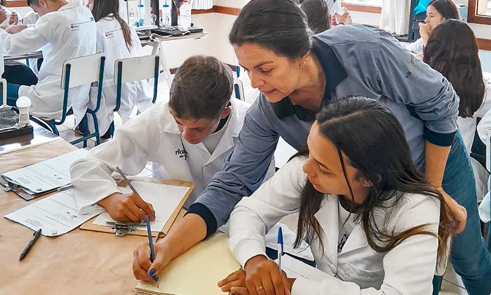 O papel do professor