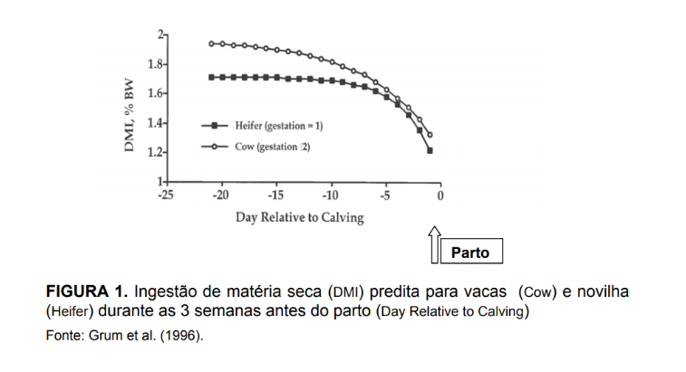 período de transição