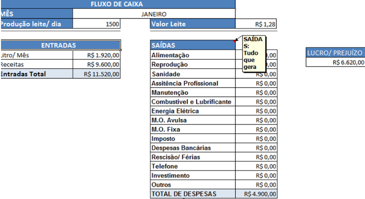 Planilha fluxo de caixa
