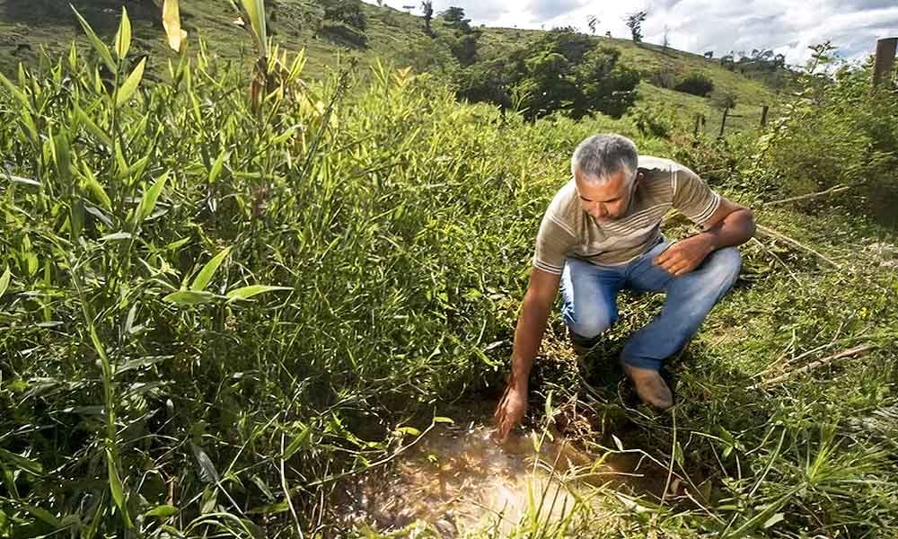 Preservação e recuperação de nascentes