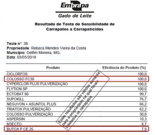 resultado embrapa gado de leite