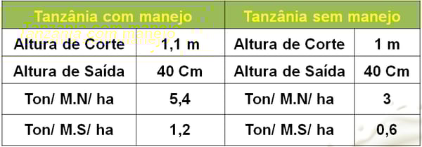 tanzania com manejo e sem manejo